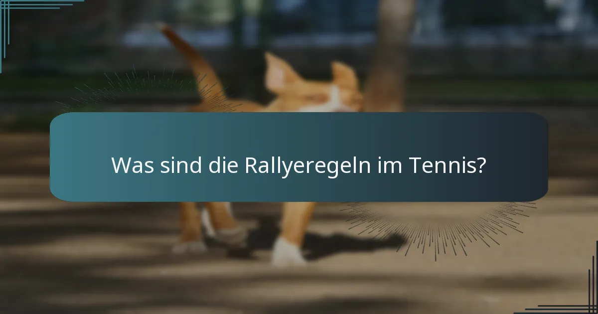 Was sind die Rallyeregeln im Tennis?