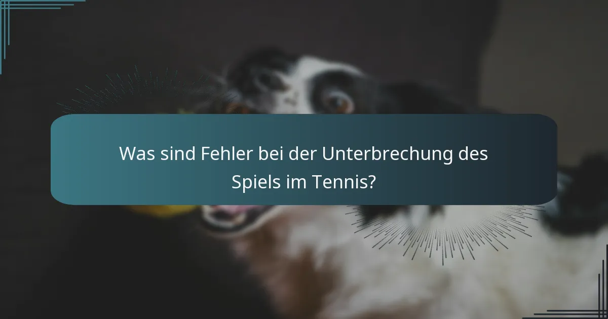 Was sind Fehler bei der Unterbrechung des Spiels im Tennis?