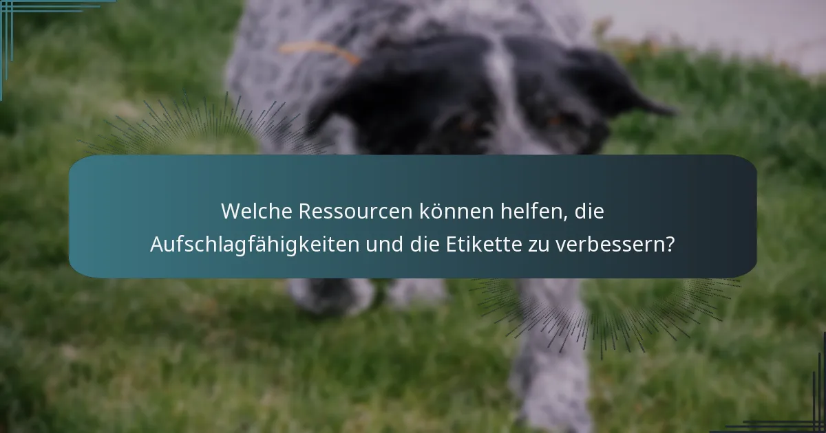 Welche Ressourcen können helfen, die Aufschlagfähigkeiten und die Etikette zu verbessern?