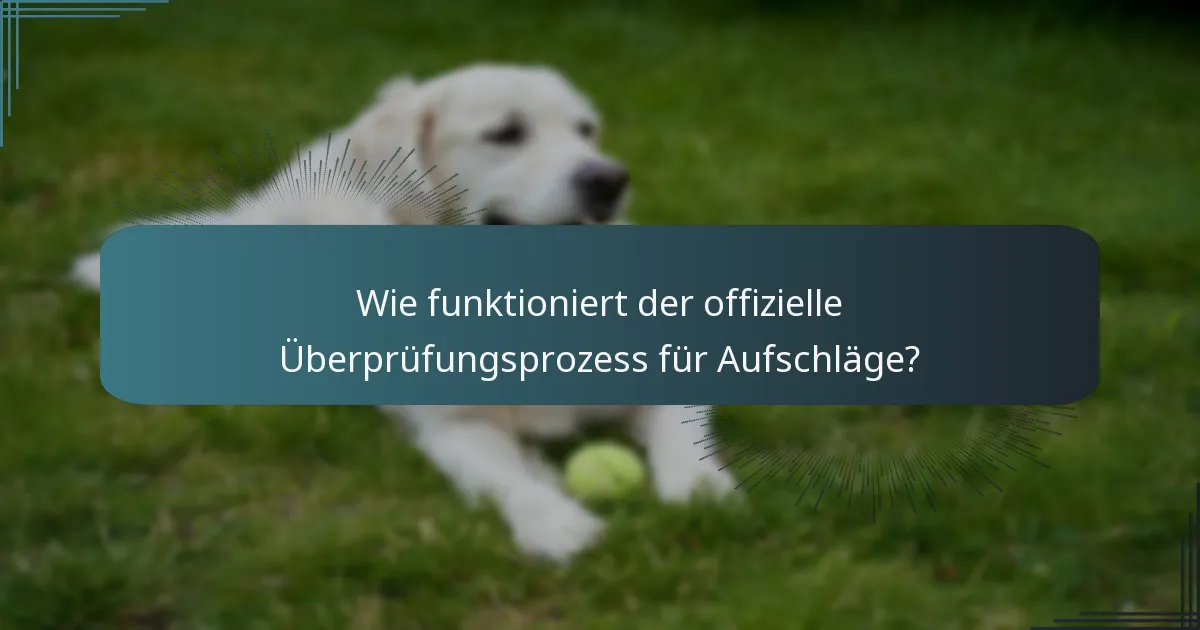 Wie funktioniert der offizielle Überprüfungsprozess für Aufschläge?