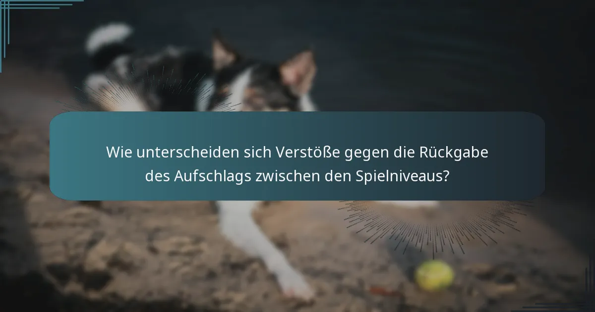 Wie unterscheiden sich Verstöße gegen die Rückgabe des Aufschlags zwischen den Spielniveaus?